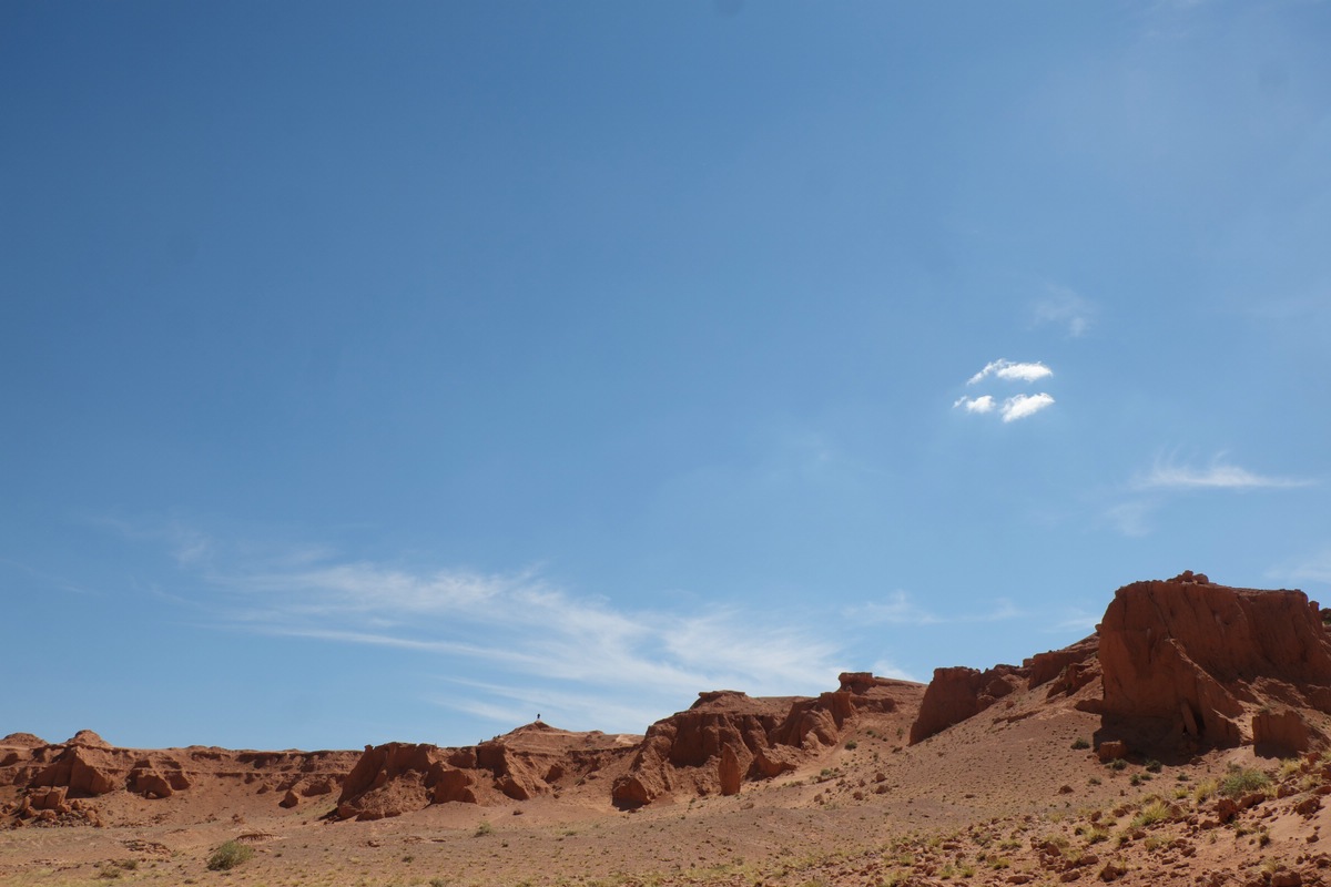 Gobi