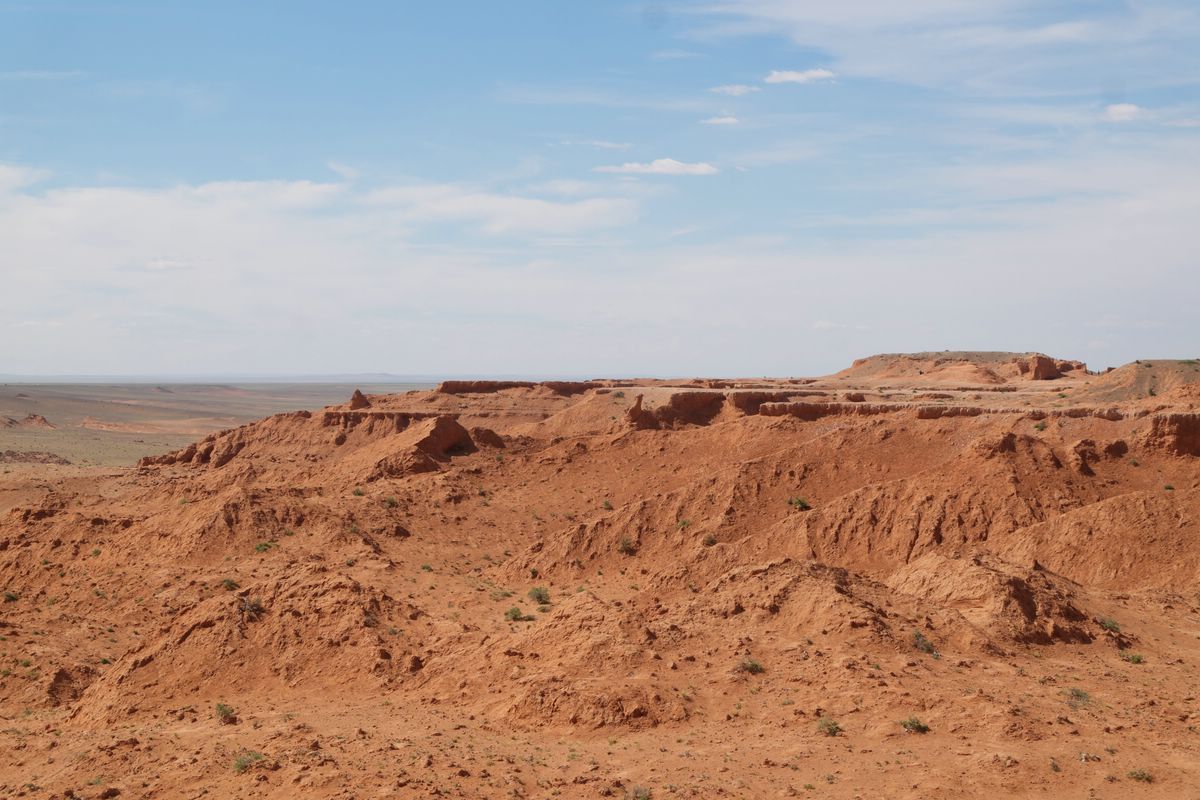 Gobi