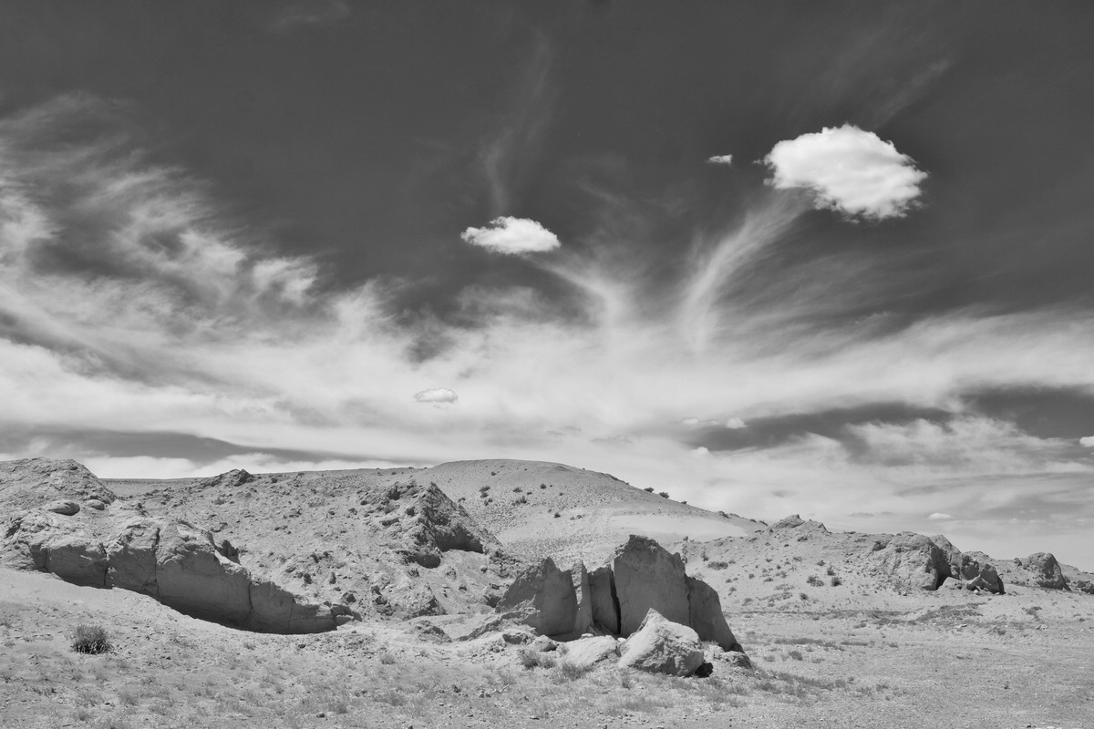 Gobi