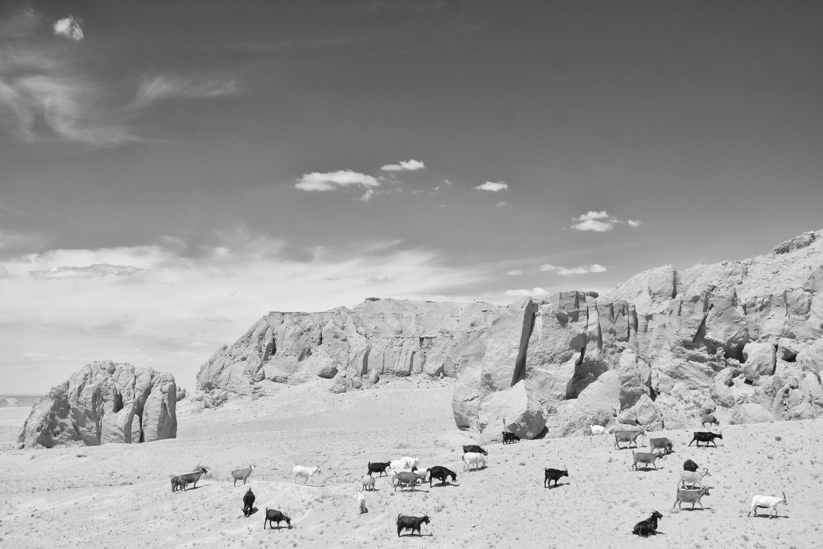Gobi