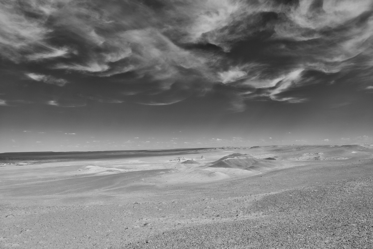 Gobi