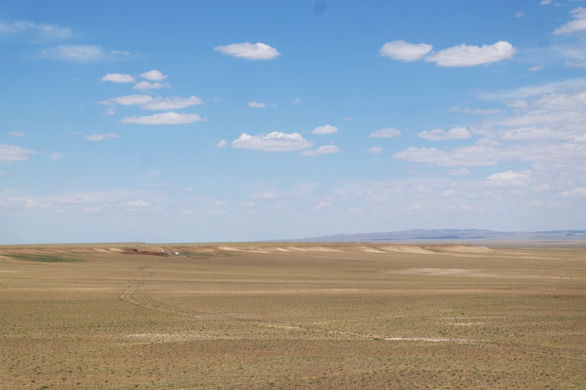 Gobi