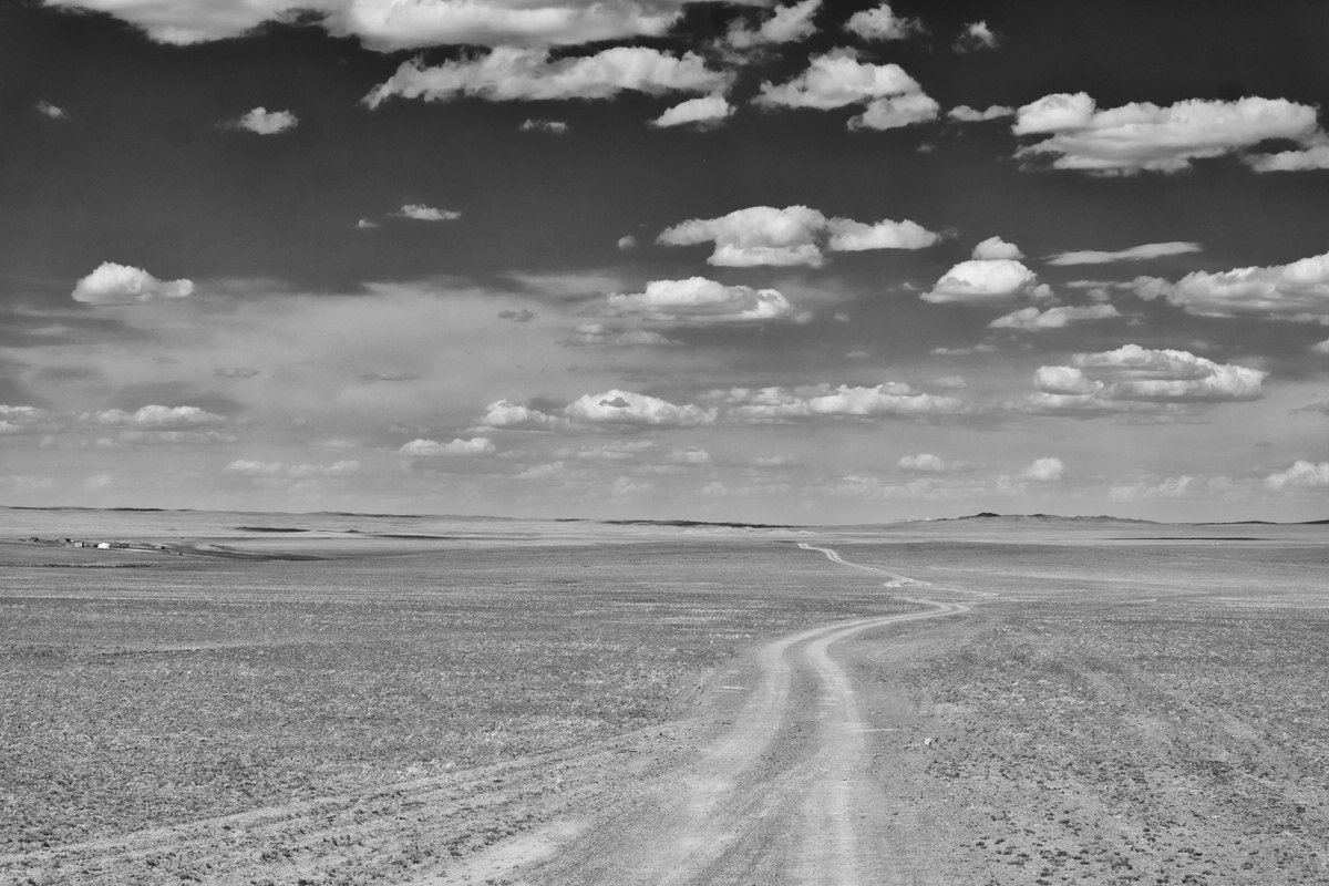 Gobi