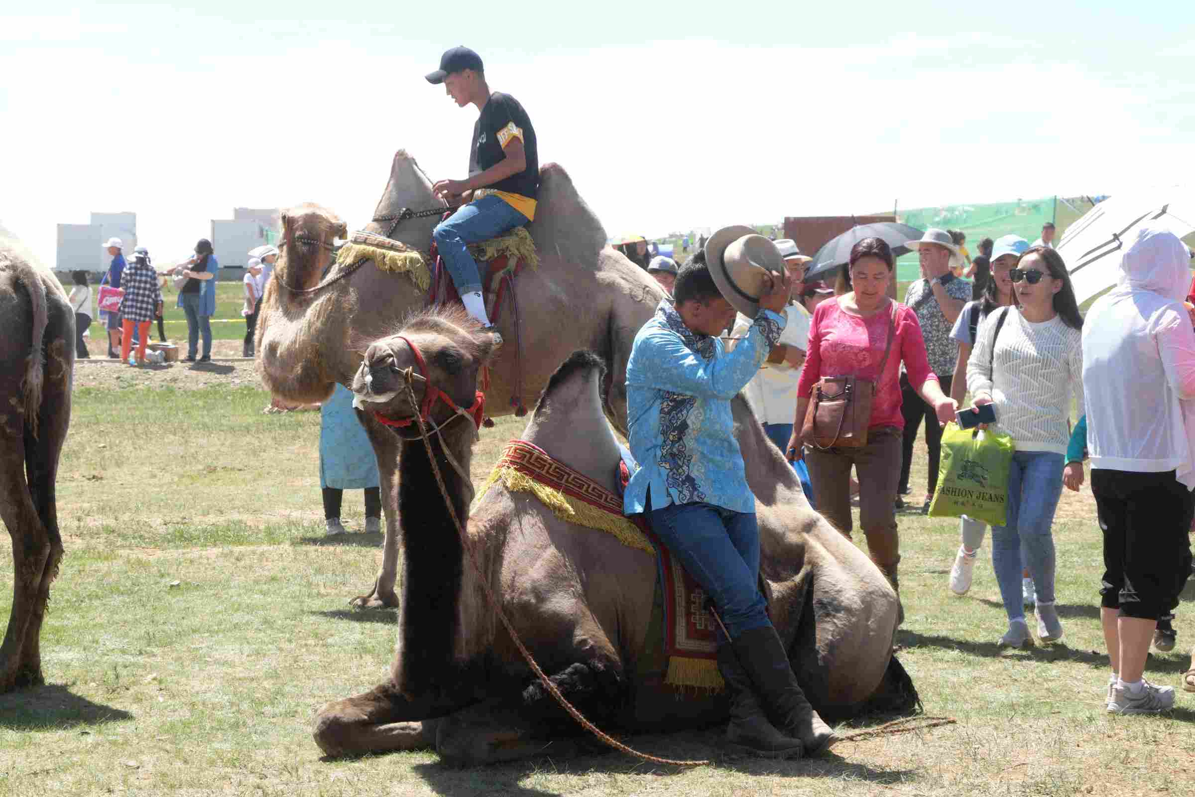 Naadam Fest
