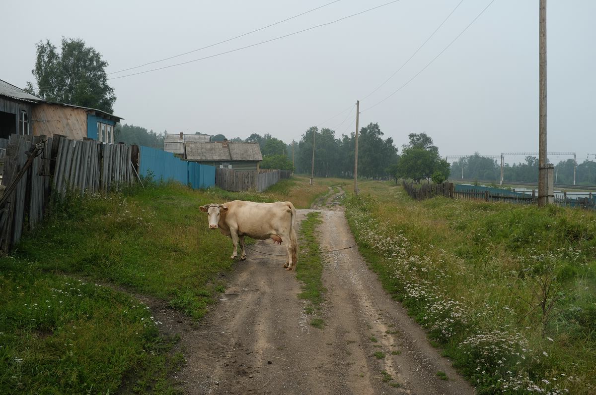 Baikal