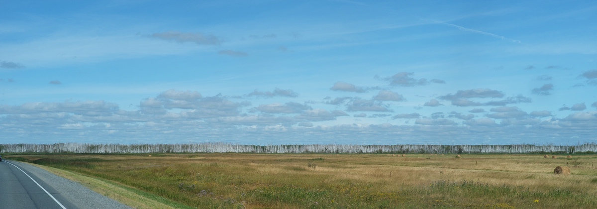 omsk