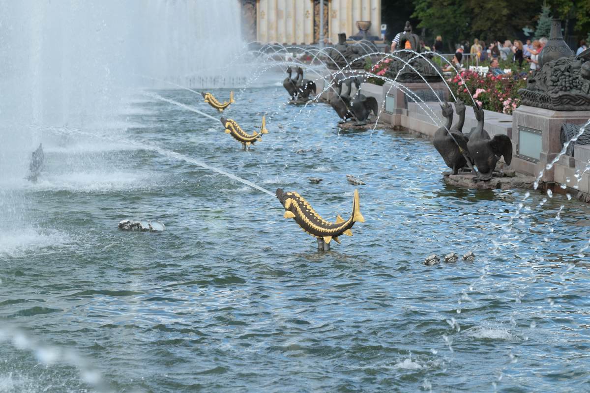 Brunnen der Blume