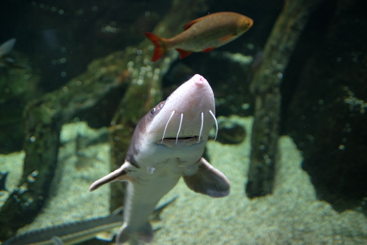 Aquarium