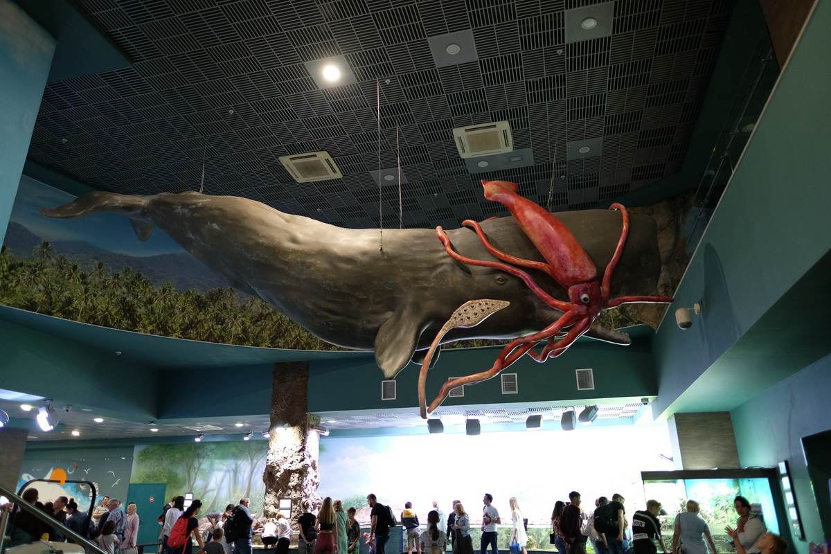 Aquarium