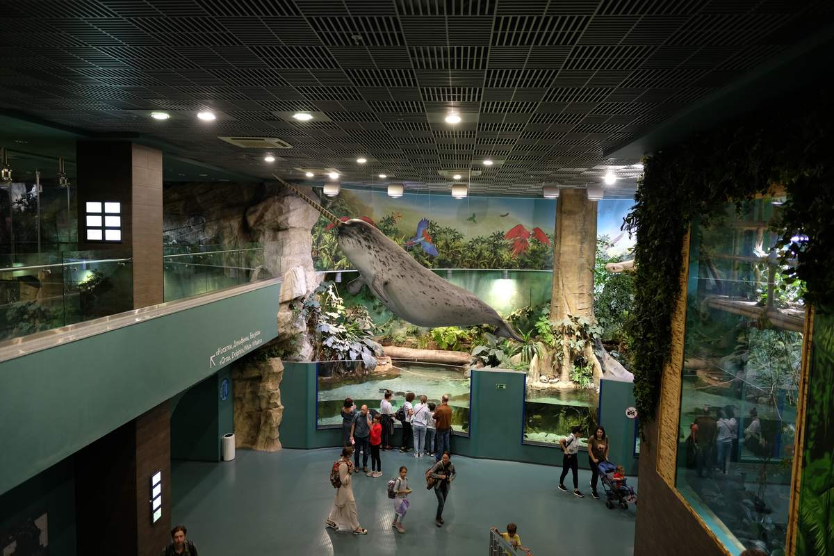 Aquarium