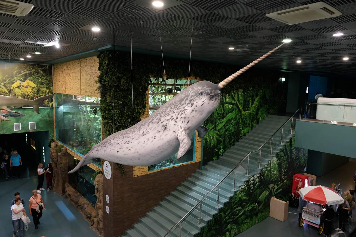 Aquarium