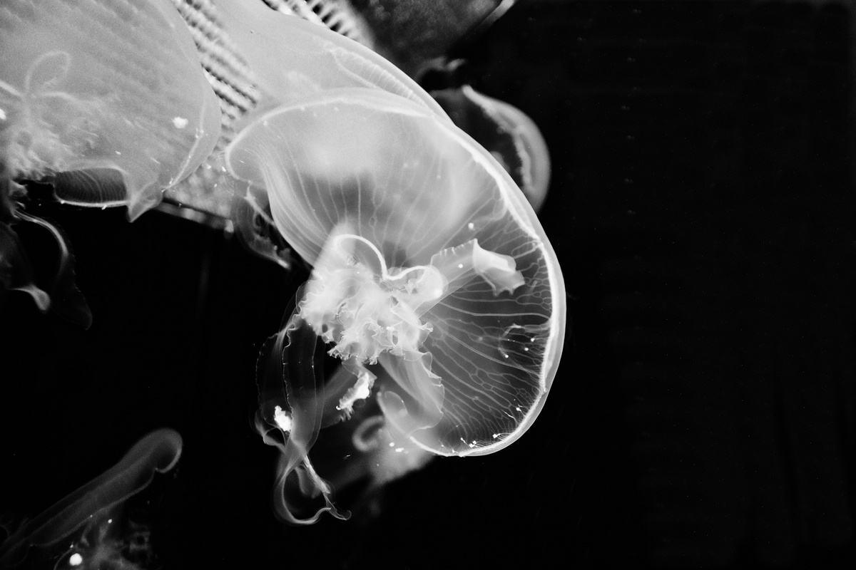 Aquarium