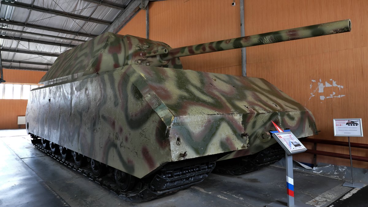 Maus