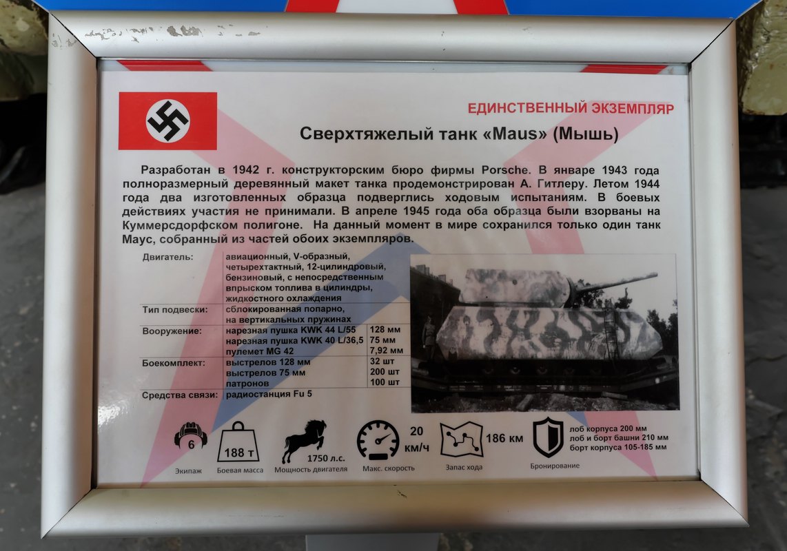 Maus