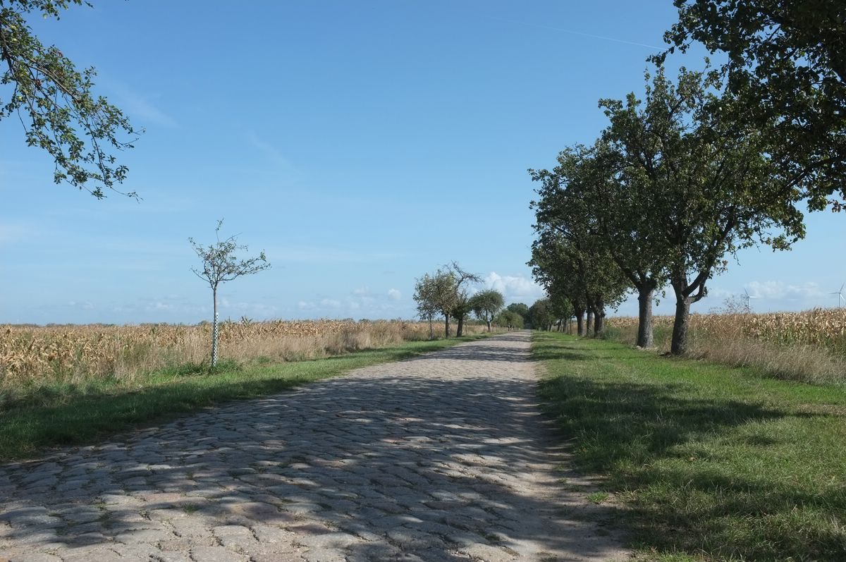 Stellplatz