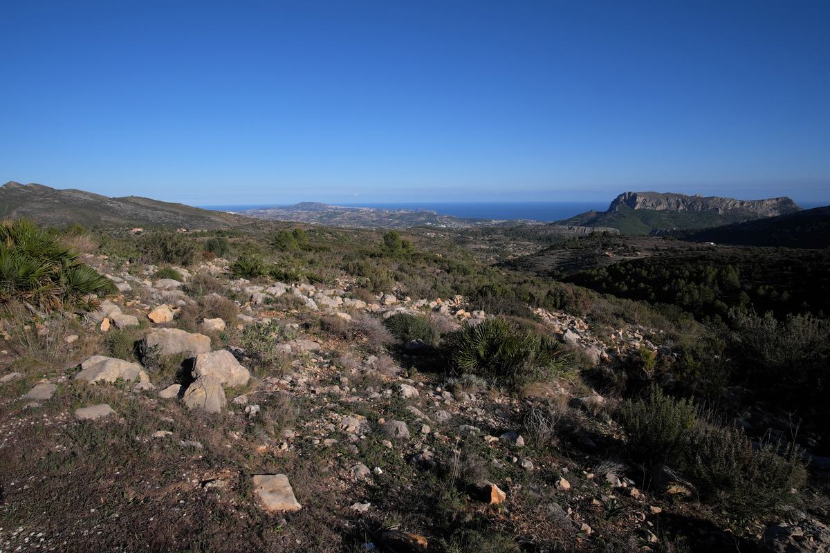 Landschaft