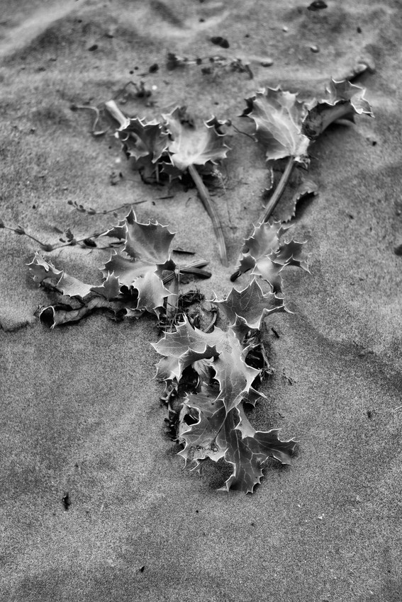 Sand
