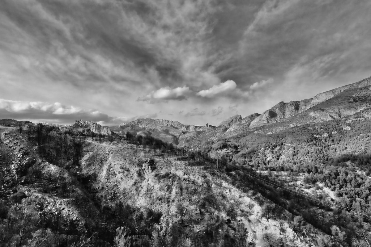 Landschaft