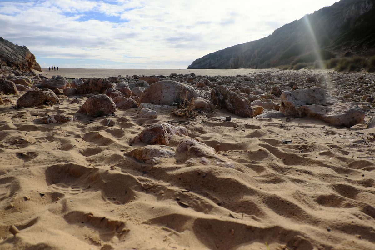 Strand und Landschaft