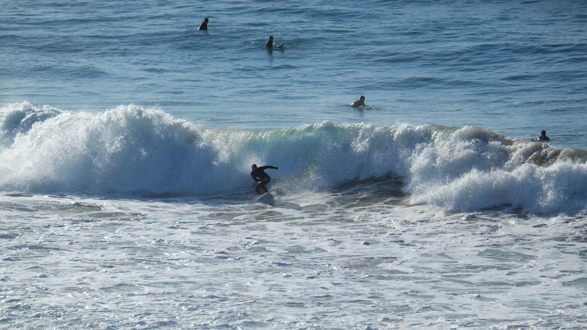 Surfer