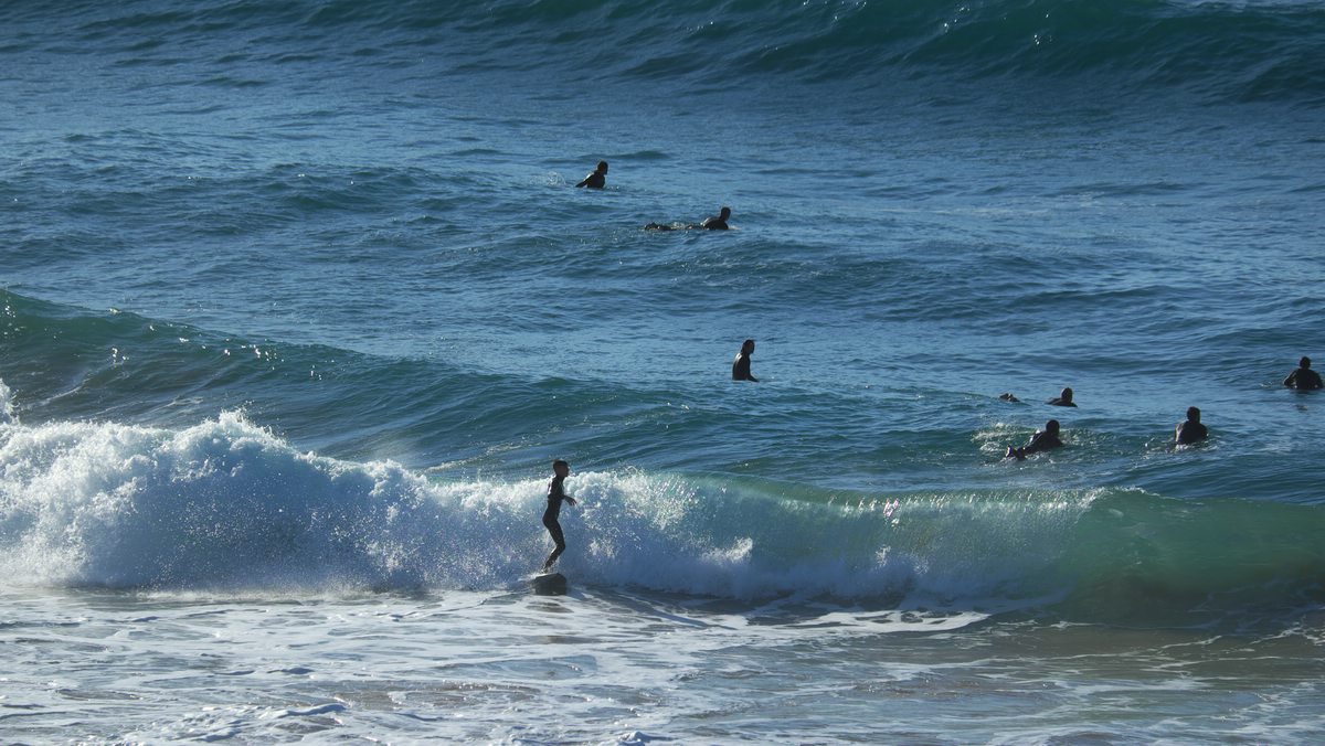 Surfer