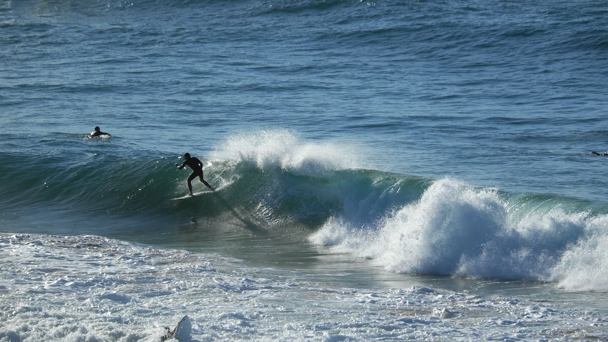 Surfer