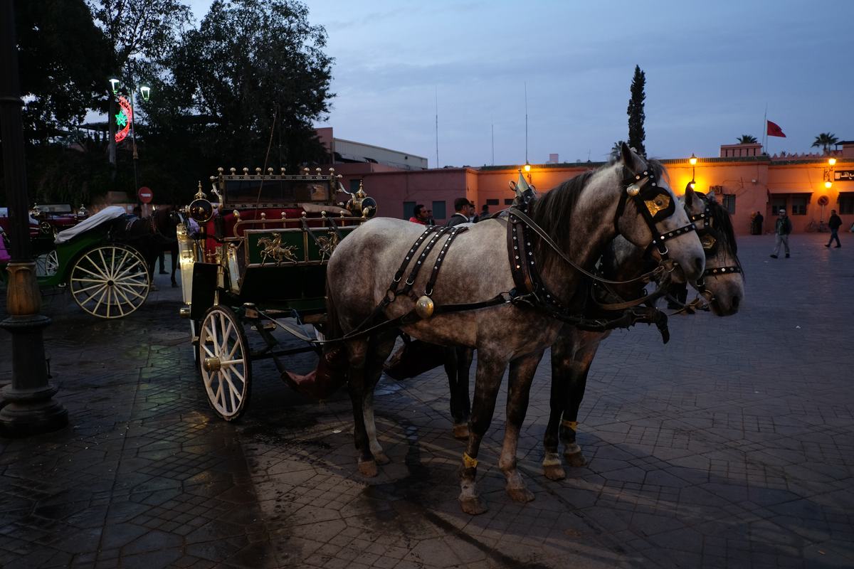 Marrakesch