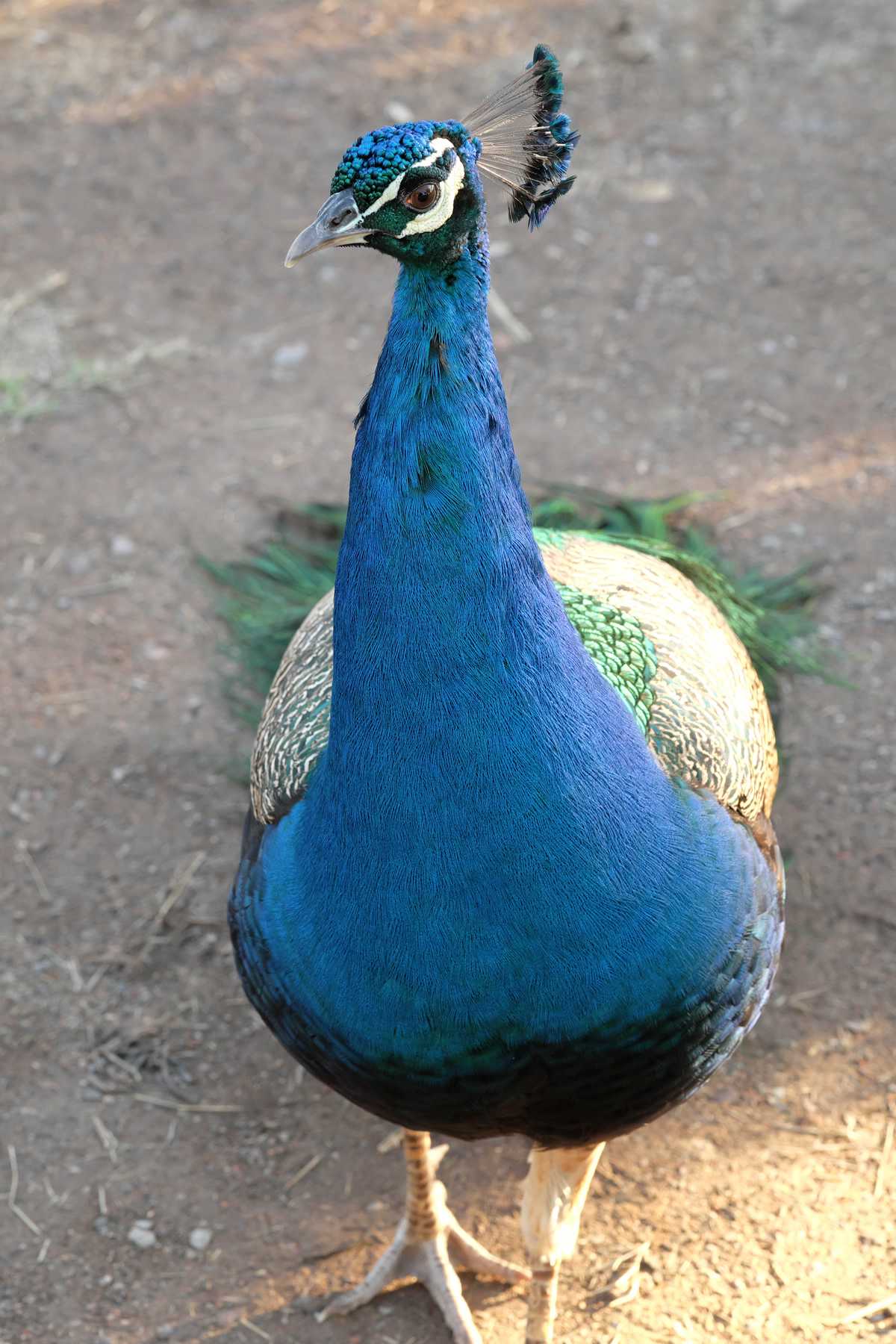 Marrakesch