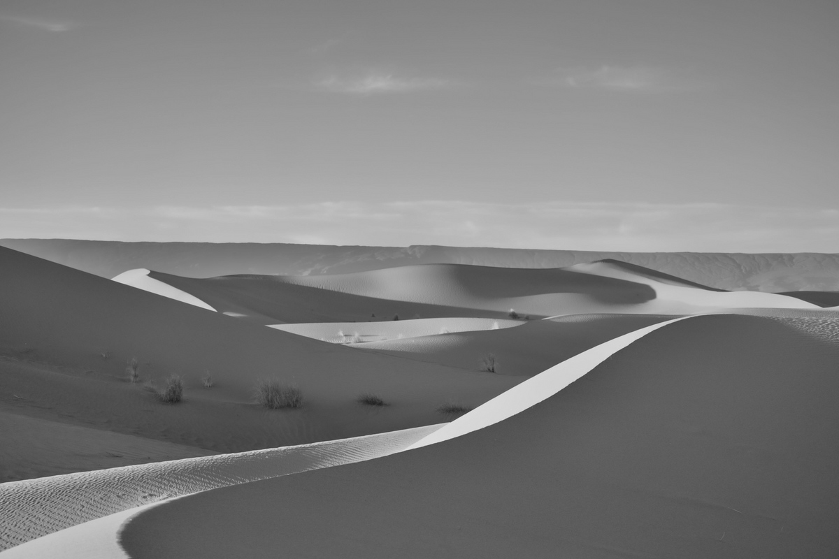 Piste