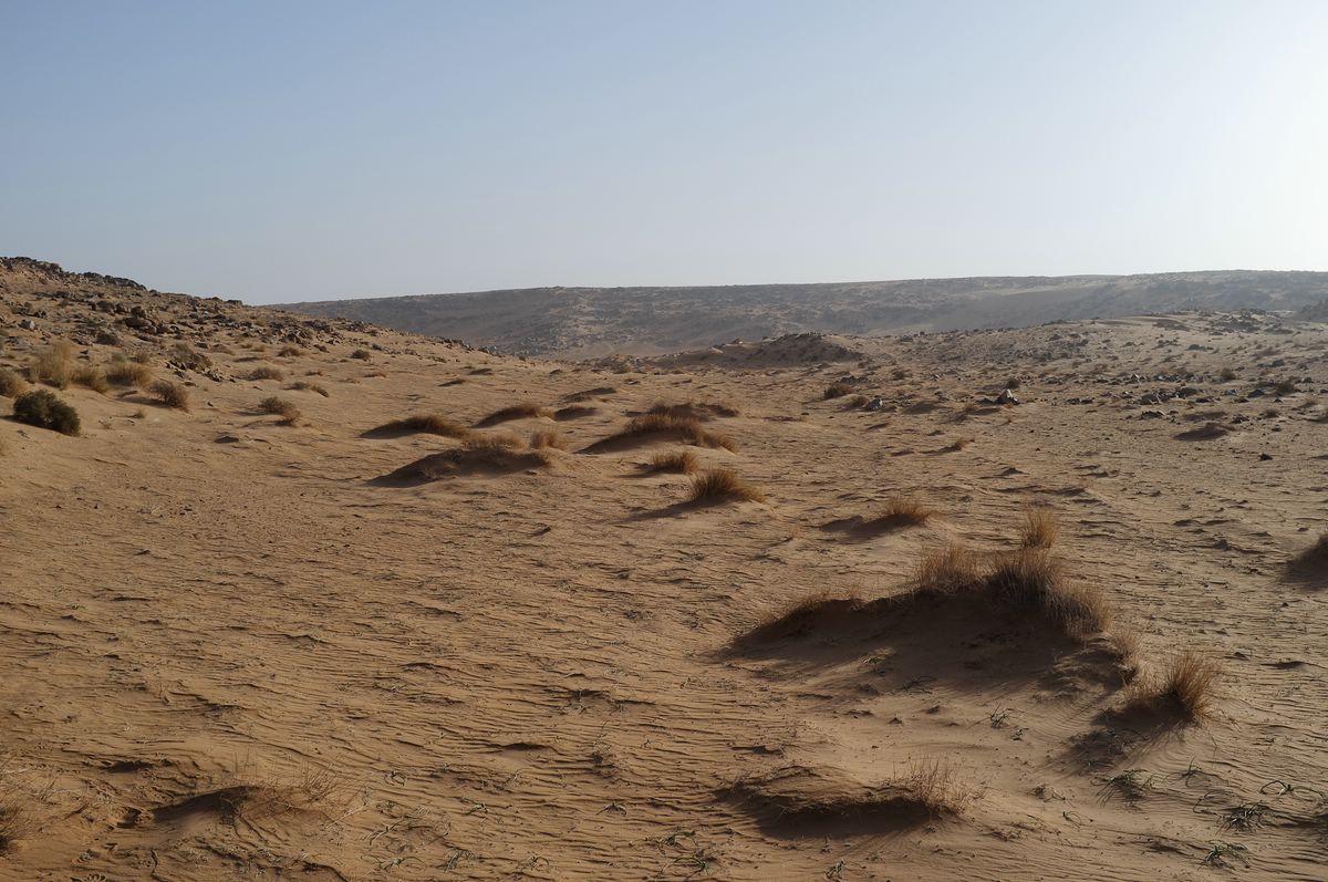 Wüste und Landschaft