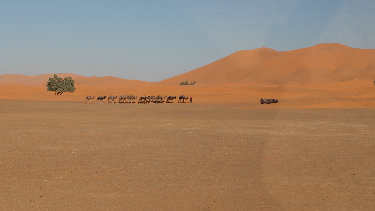 Erg Chebbi