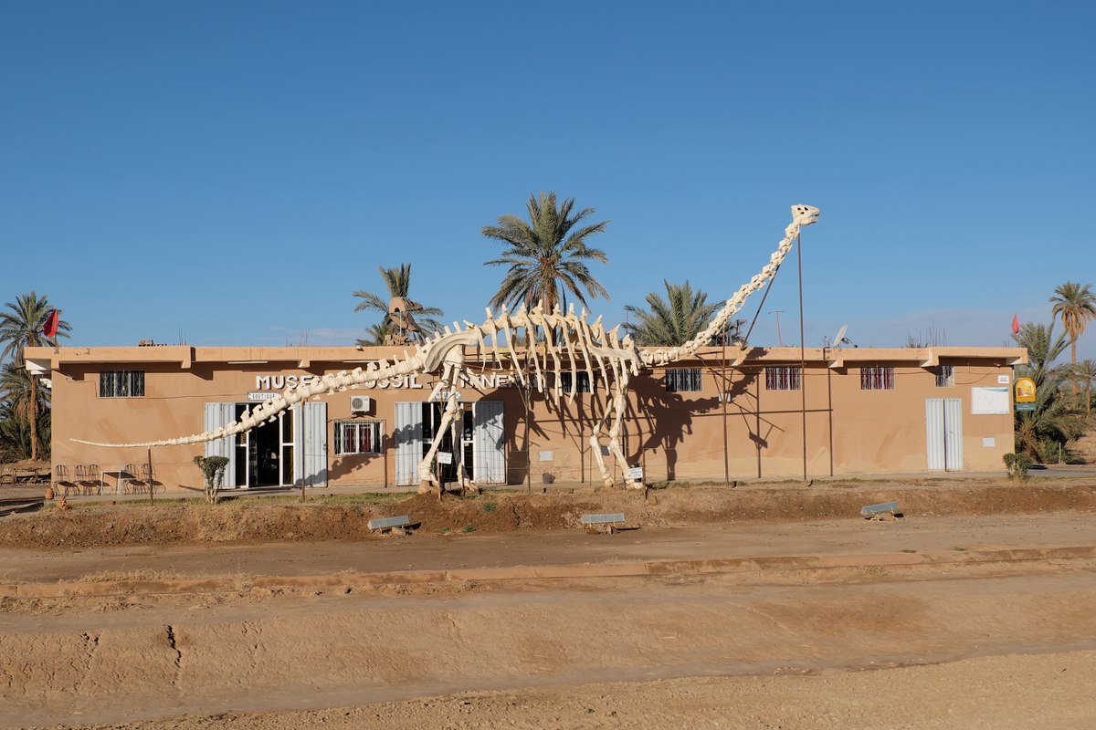 Dino