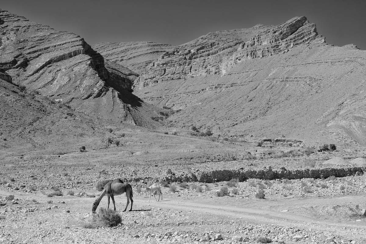Anti Atlas
