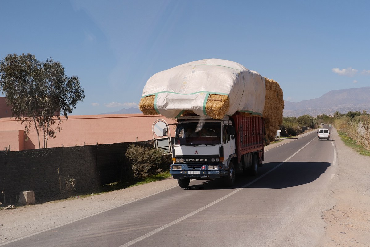 Anti Atlas