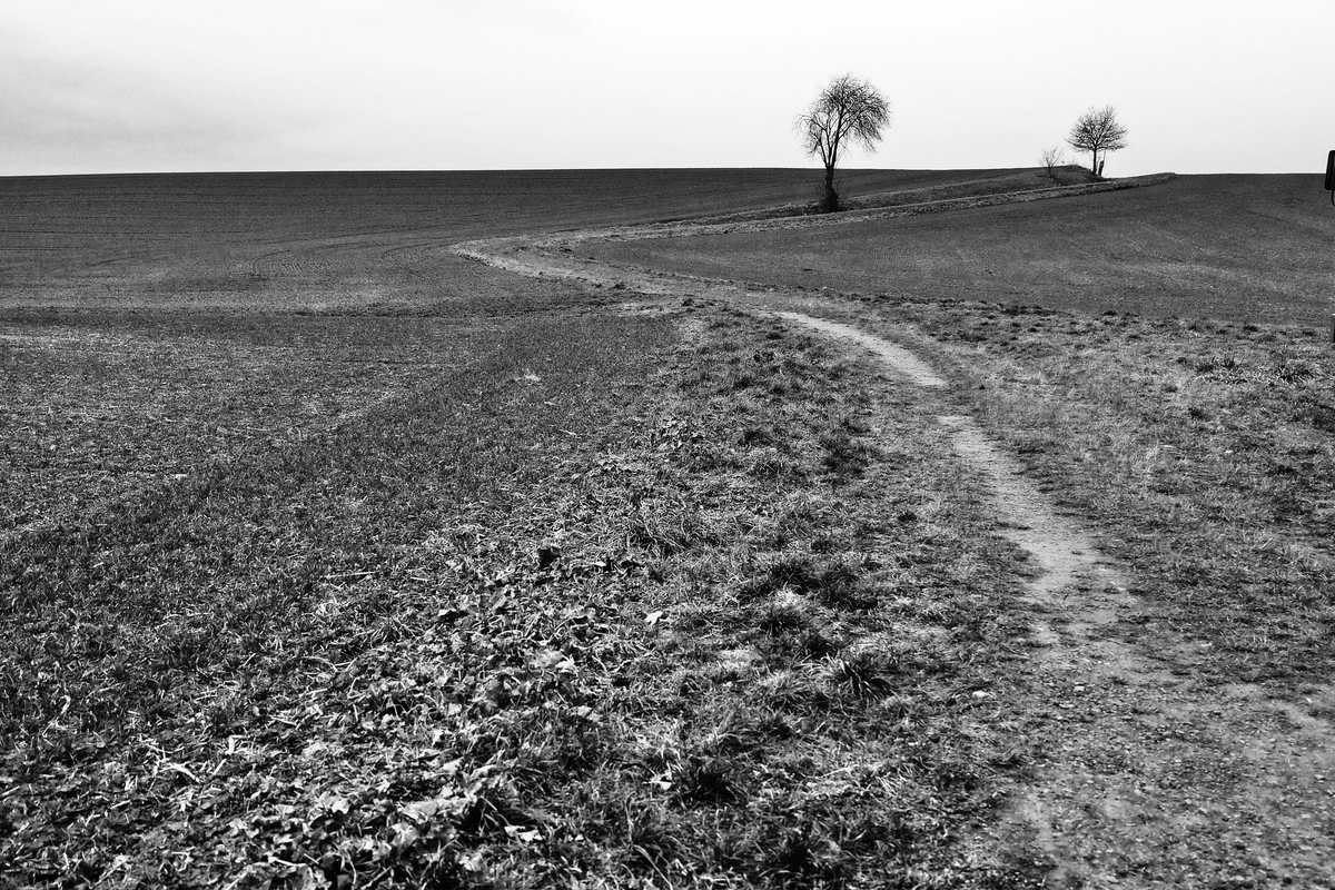 Der Weg ans Ende