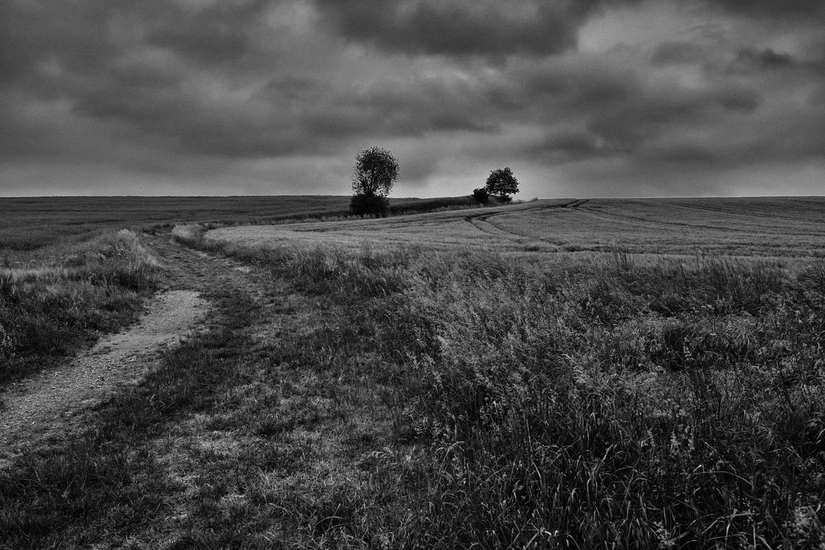 Stellplatz Landschaft