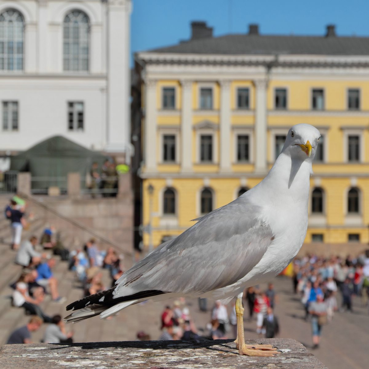 Helsinki