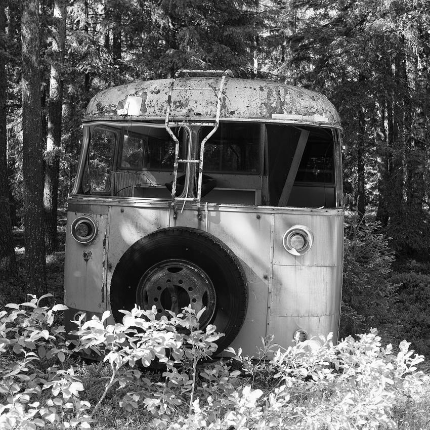 Bus