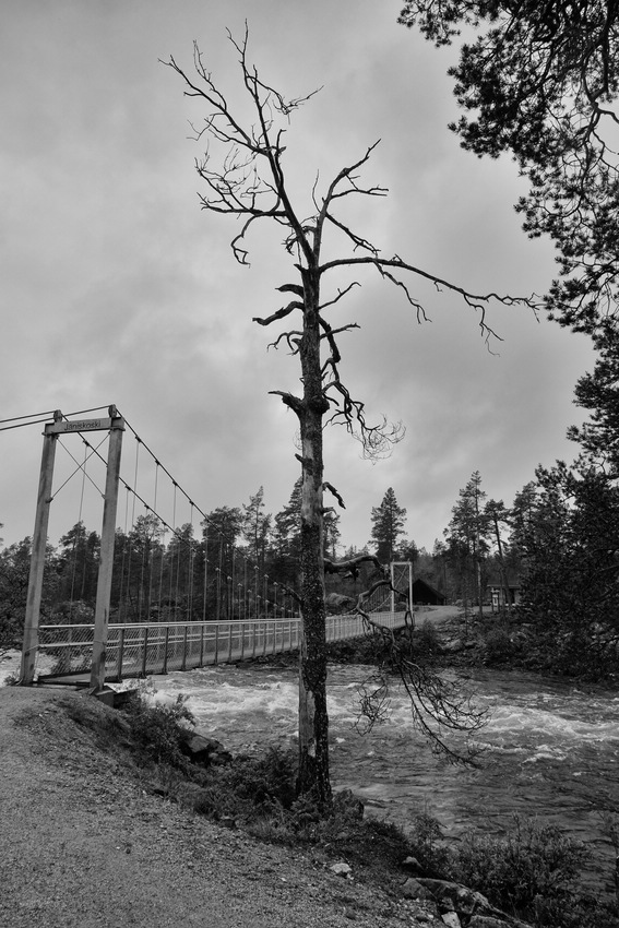 Stromschnellen