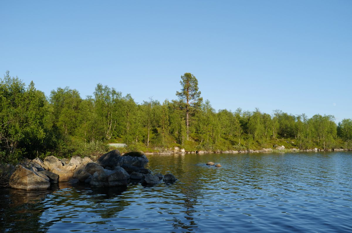 Landschaft