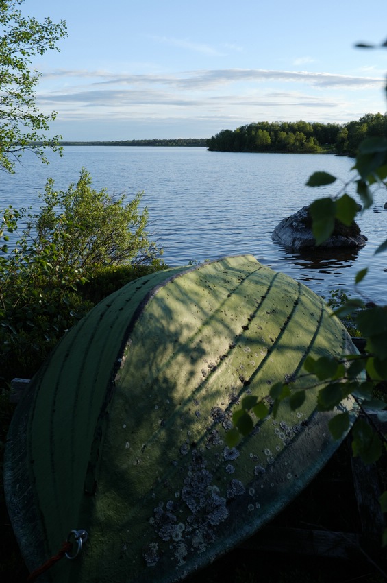 Landschaft