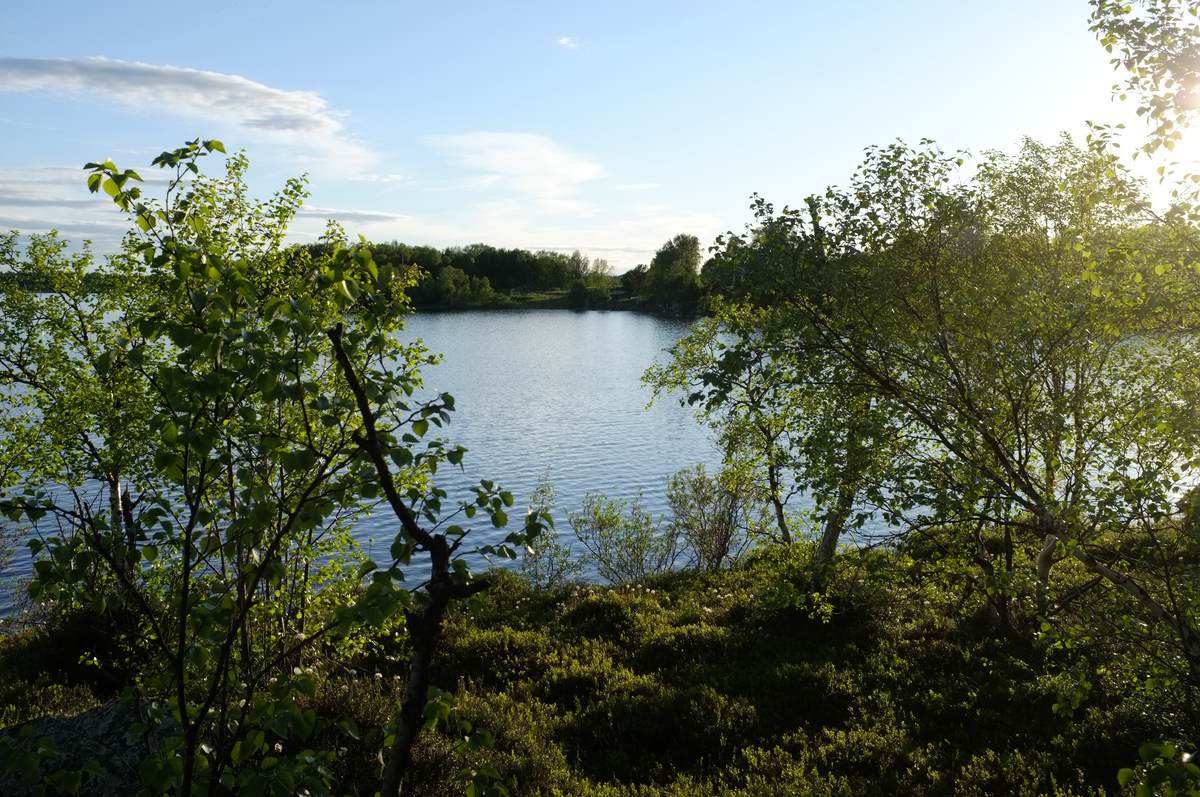 Landschaft