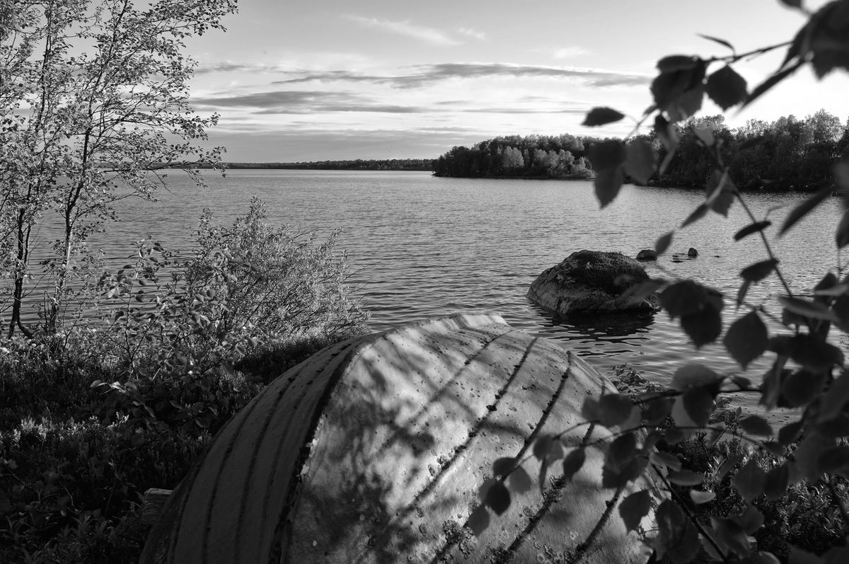 Landschaft
