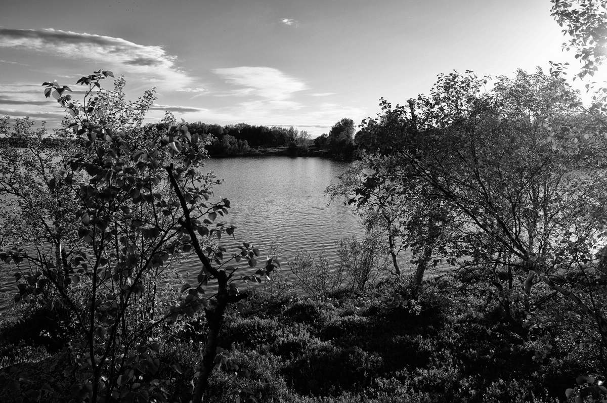 Landschaft
