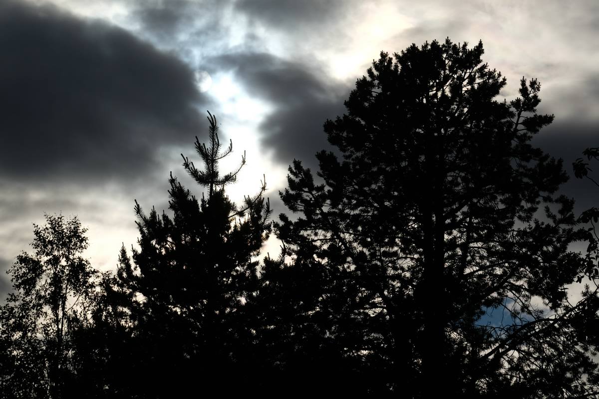 Landschaft