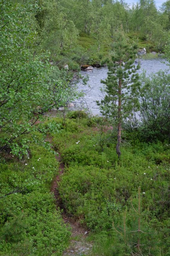 Landschaft