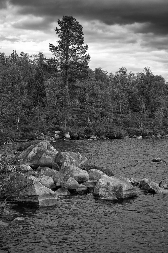 Landschaft
