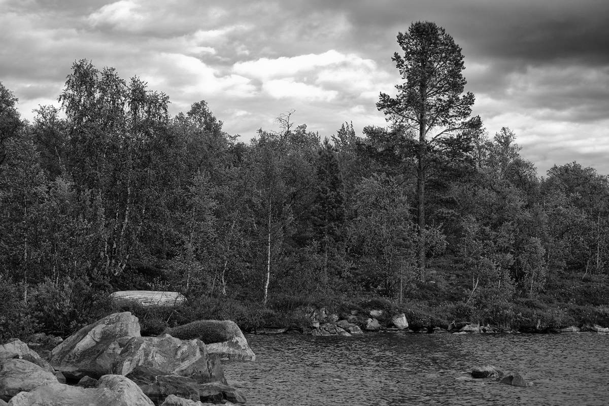 Landschaft