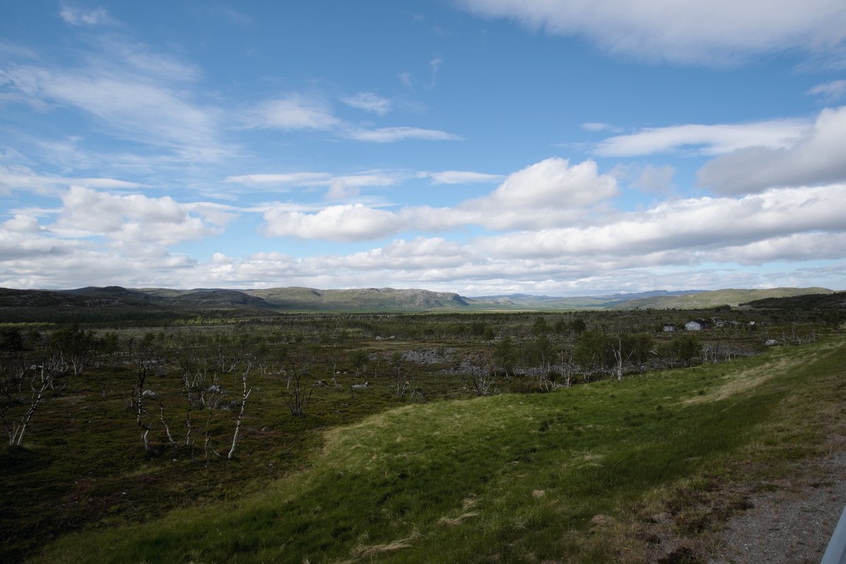 Landschaft