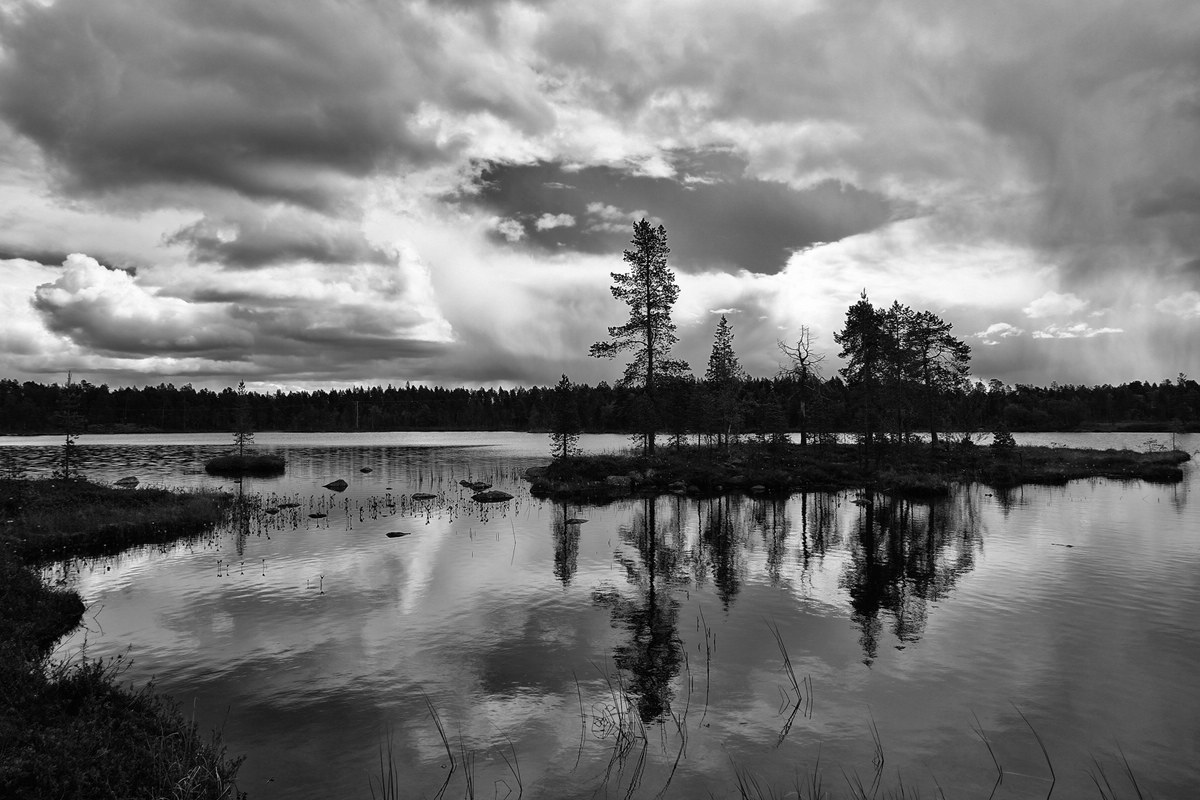 Landschaft